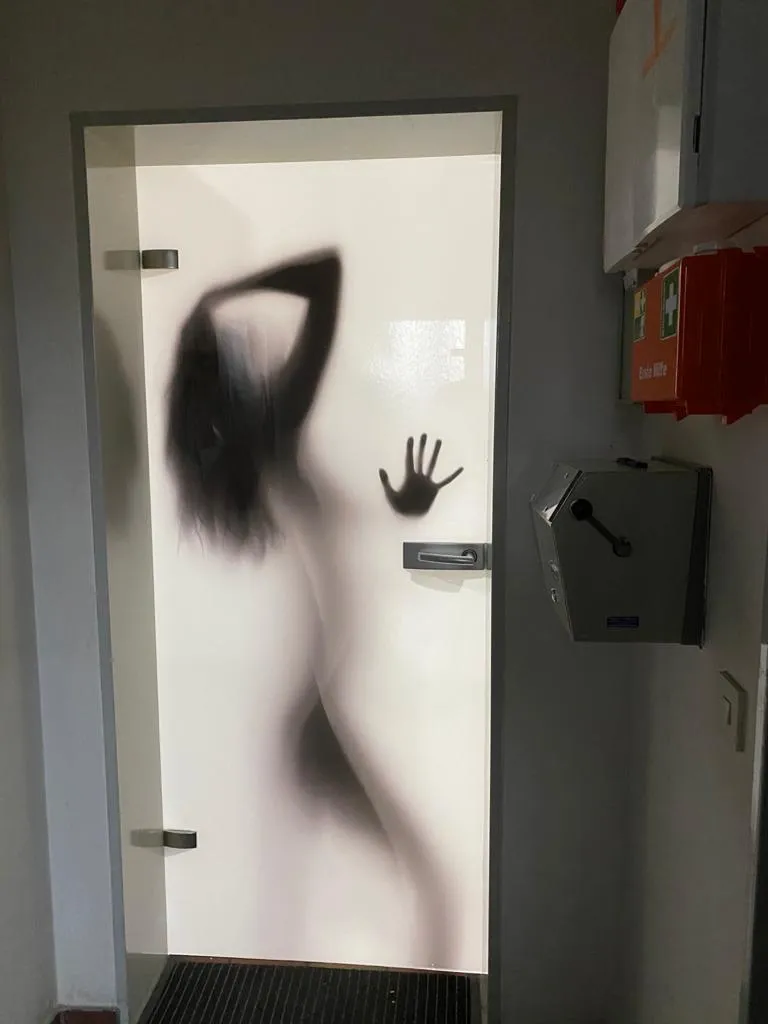 Glastüren, Glasschiebetüren, Ganzglasanlagen – Bild 4